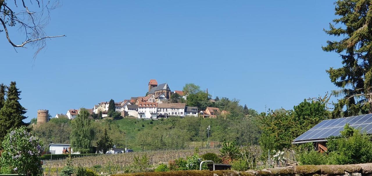 ホテル Landgasthaus "Zum Engel" Neuleiningen エクステリア 写真